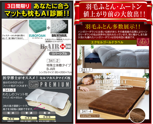 家具ショージャパン チラシ